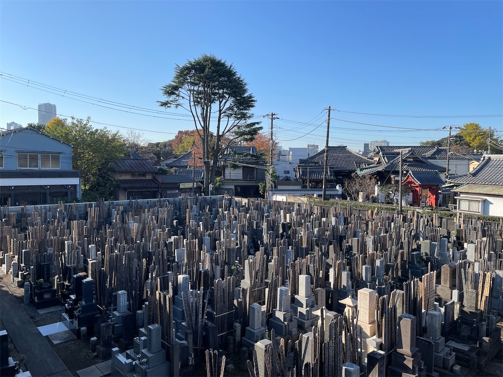 f:id:TokuheiKumagai:20241203114106j:image