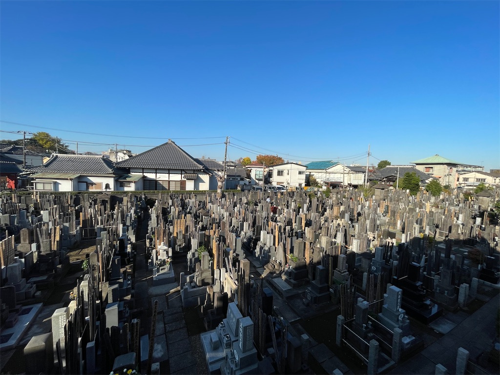 f:id:TokuheiKumagai:20241203114109j:image