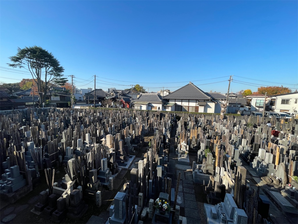 f:id:TokuheiKumagai:20241203114112j:image