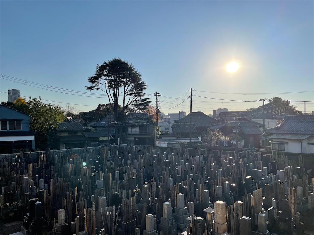 f:id:TokuheiKumagai:20241204153238j:image