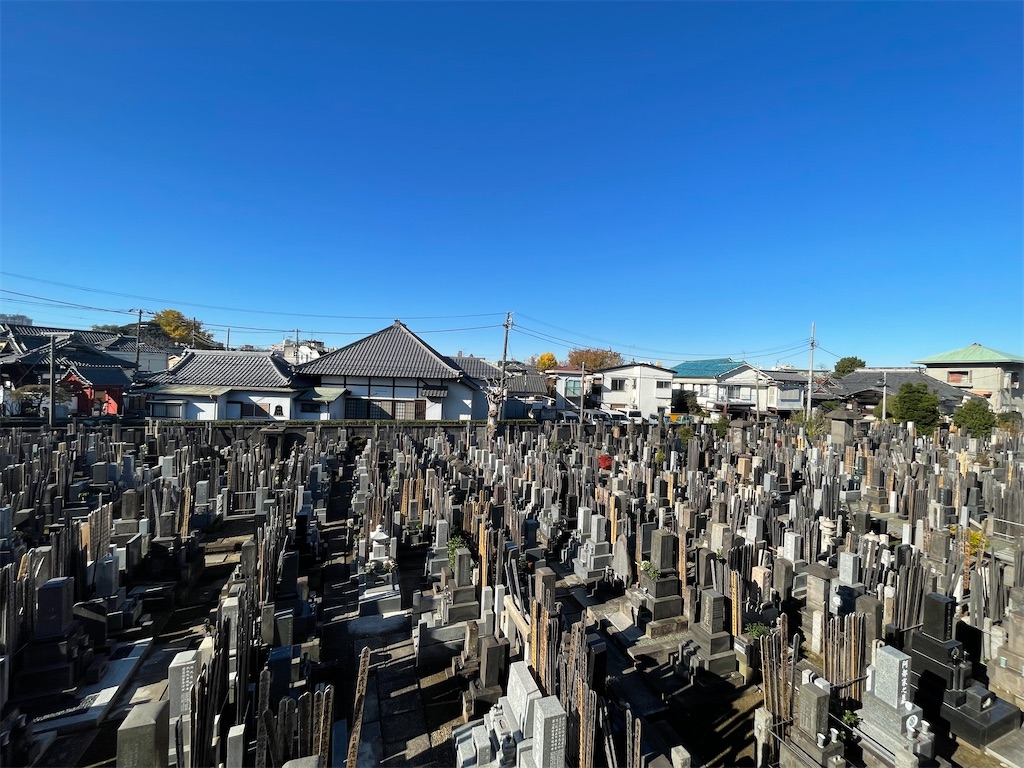 f:id:TokuheiKumagai:20241206123111j:image