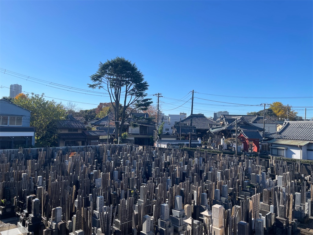 f:id:TokuheiKumagai:20241206123115j:image