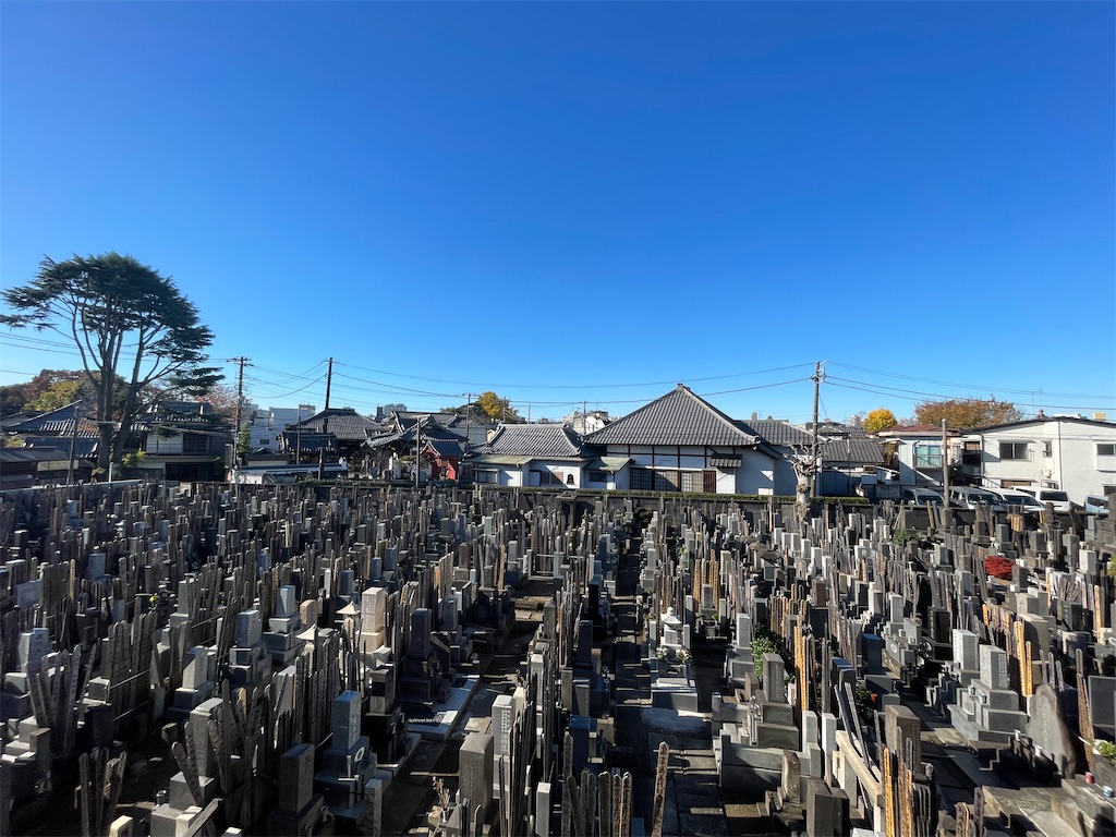 f:id:TokuheiKumagai:20241206123119j:image