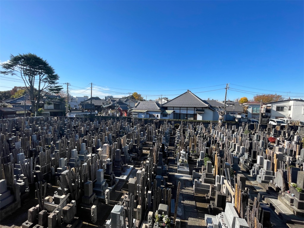 f:id:TokuheiKumagai:20241207123854j:image