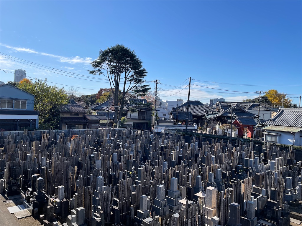 f:id:TokuheiKumagai:20241207123901j:image