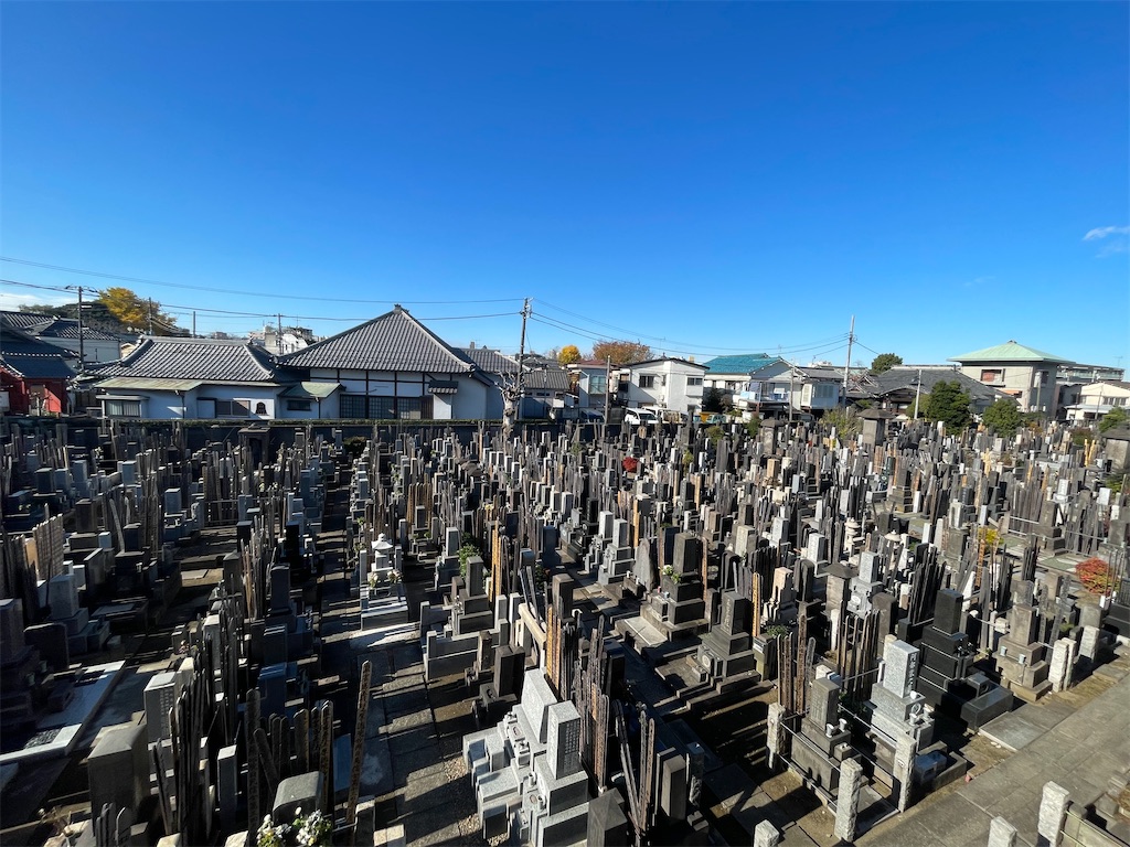f:id:TokuheiKumagai:20241207123905j:image