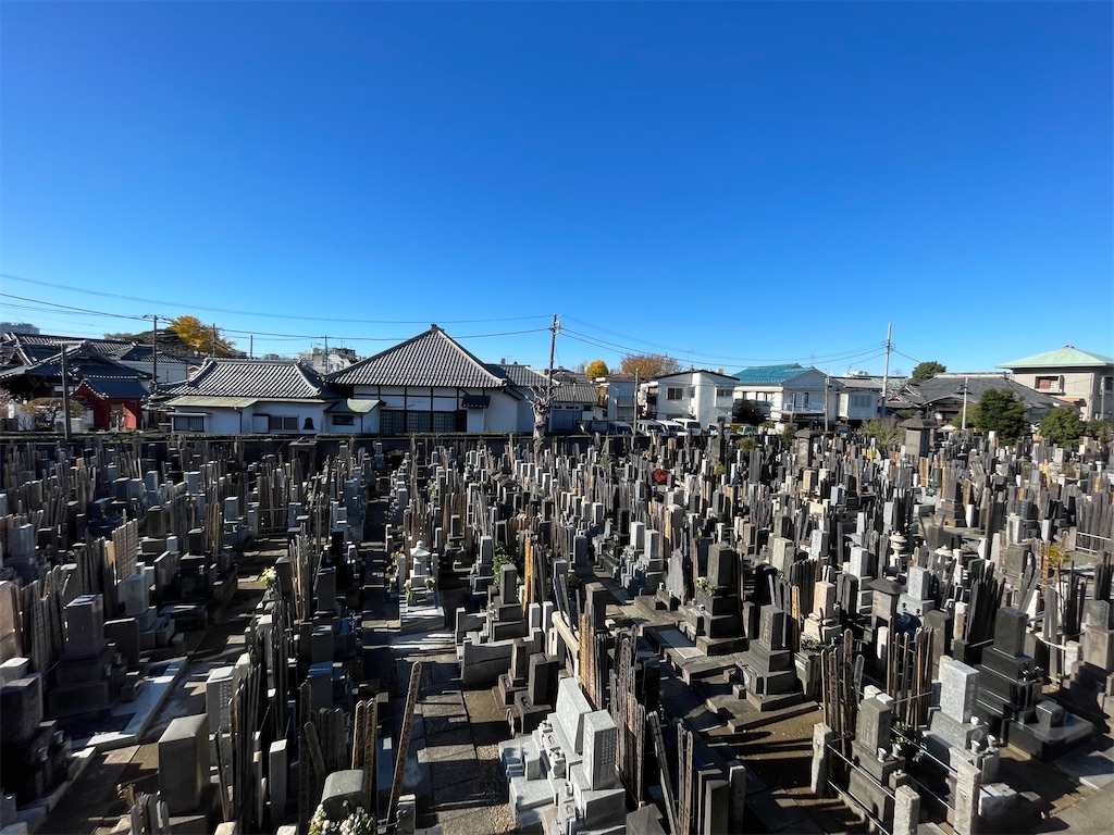 f:id:TokuheiKumagai:20241209144937j:image