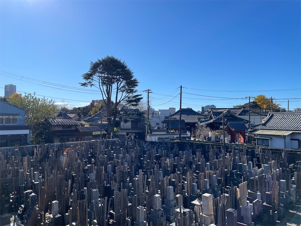 f:id:TokuheiKumagai:20241209144940j:image
