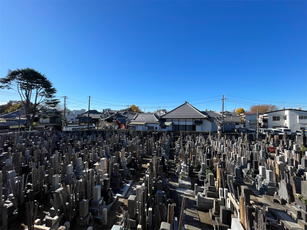 f:id:TokuheiKumagai:20241209144944j:image