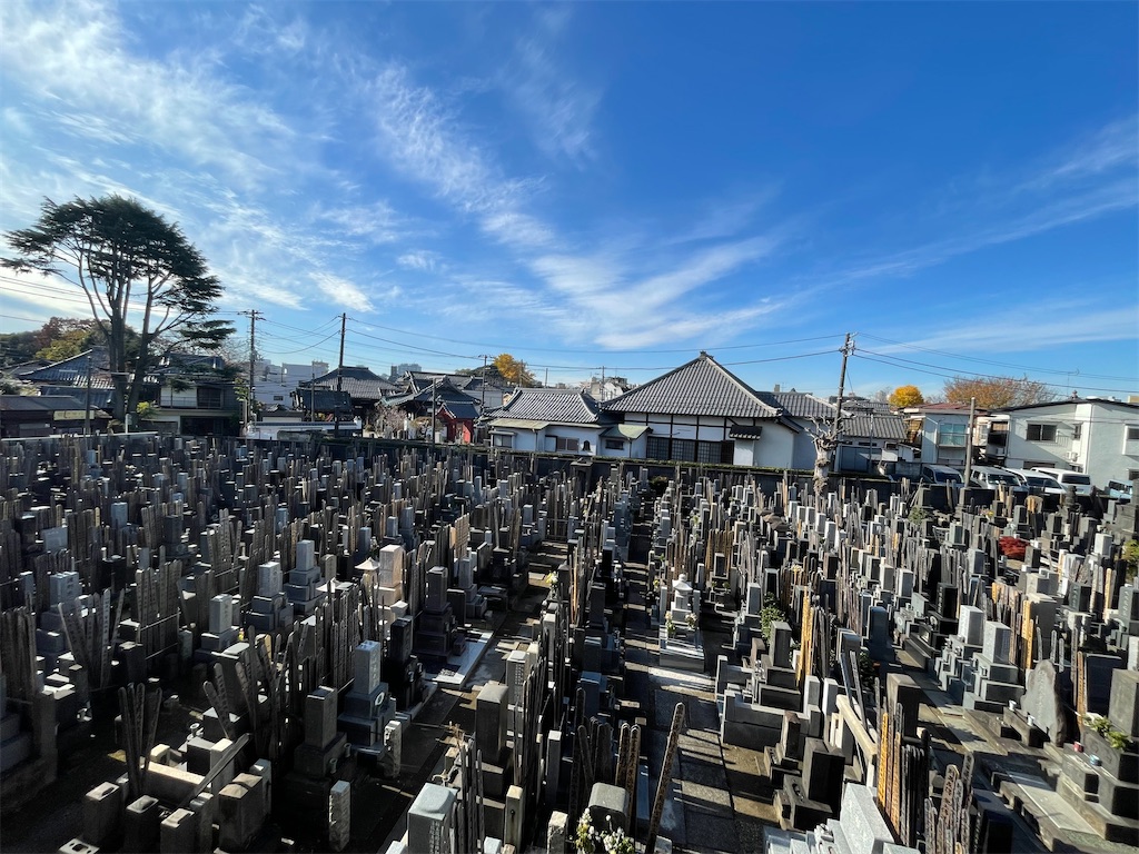 f:id:TokuheiKumagai:20241211134841j:image