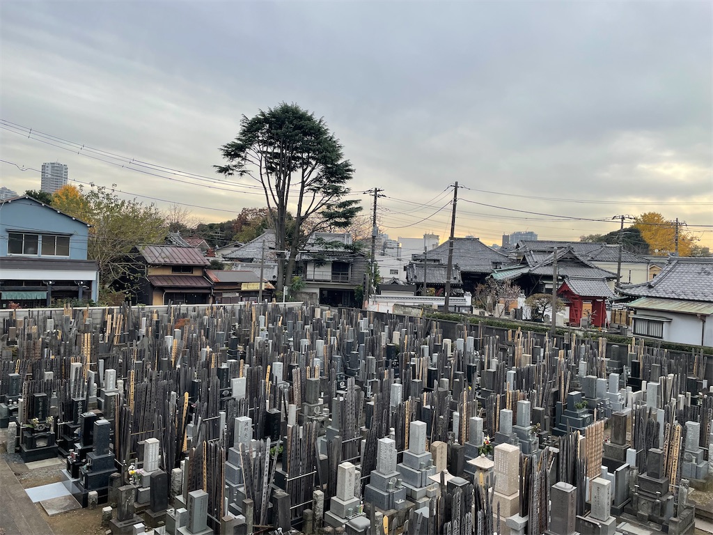 f:id:TokuheiKumagai:20241213140837j:image