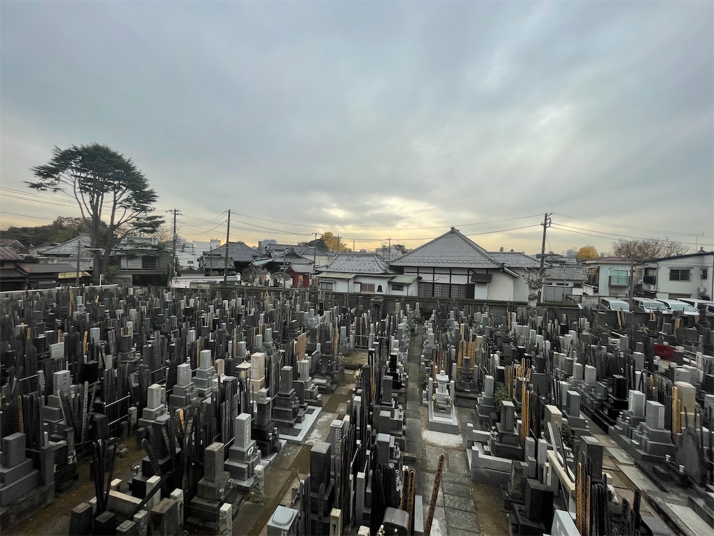 f:id:TokuheiKumagai:20241213140840j:image