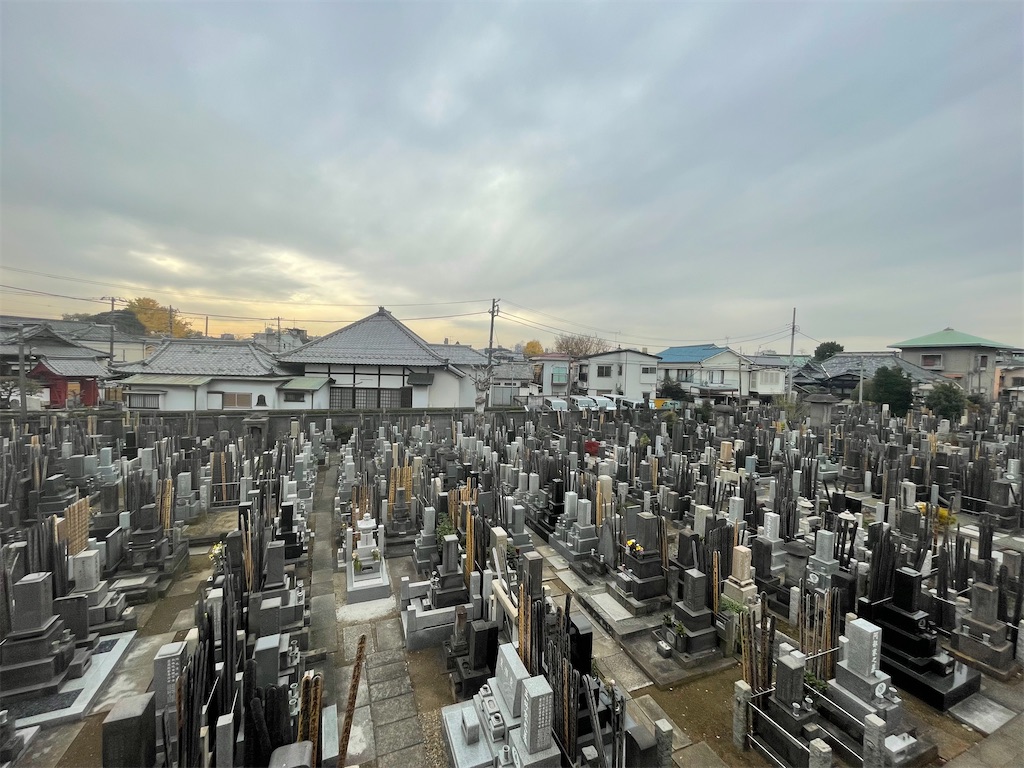 f:id:TokuheiKumagai:20241213140844j:image