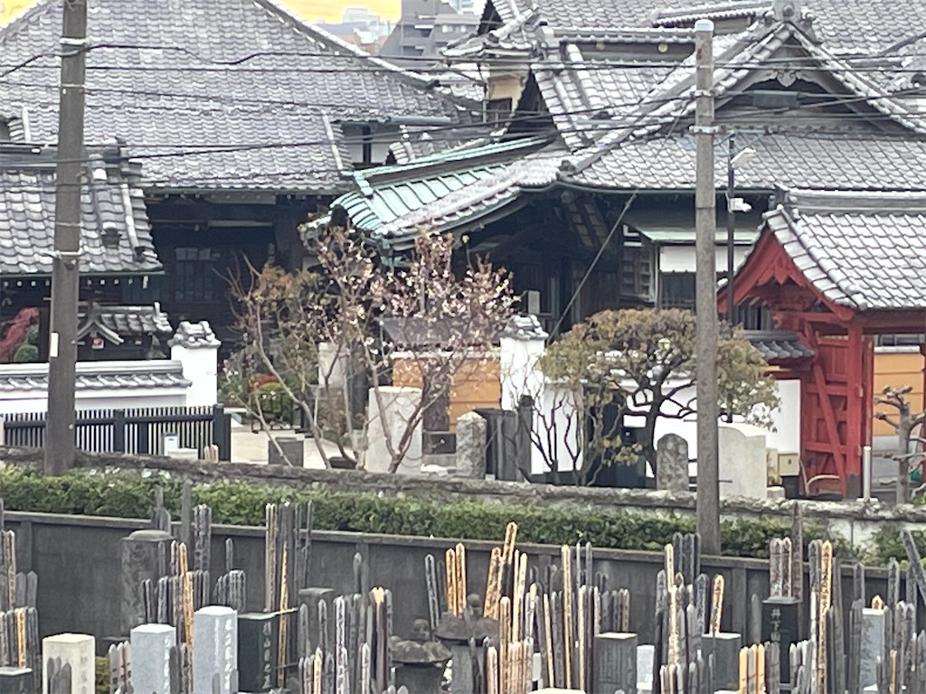 f:id:TokuheiKumagai:20241213140903j:image