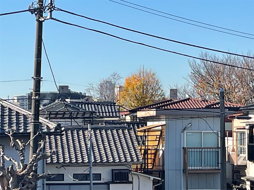 f:id:TokuheiKumagai:20241216150328j:image