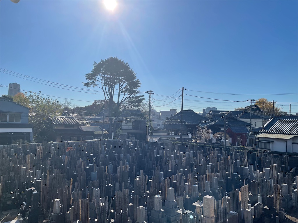 f:id:TokuheiKumagai:20241216150332j:image
