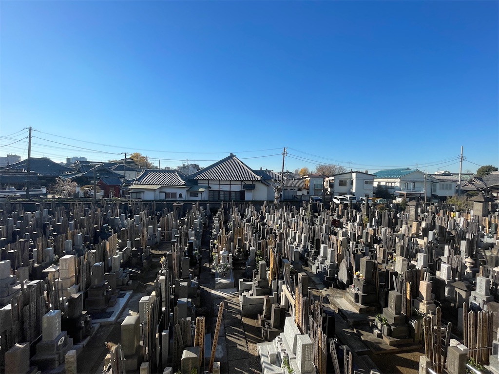 f:id:TokuheiKumagai:20241216150339j:image