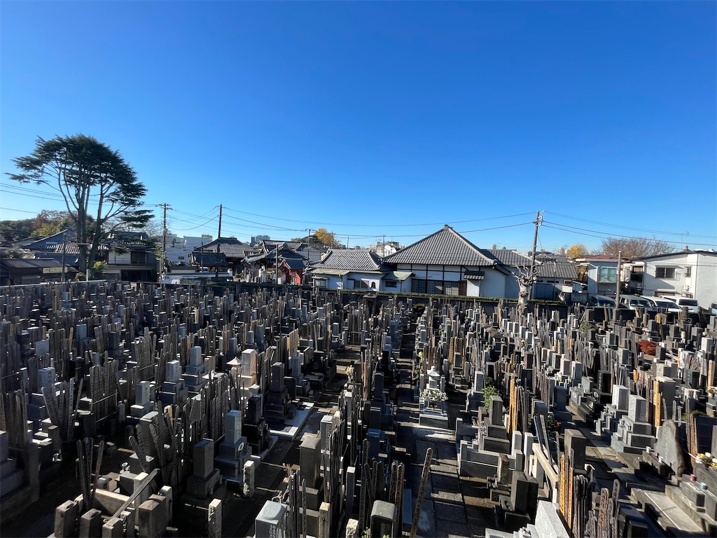 f:id:TokuheiKumagai:20241217221533j:image