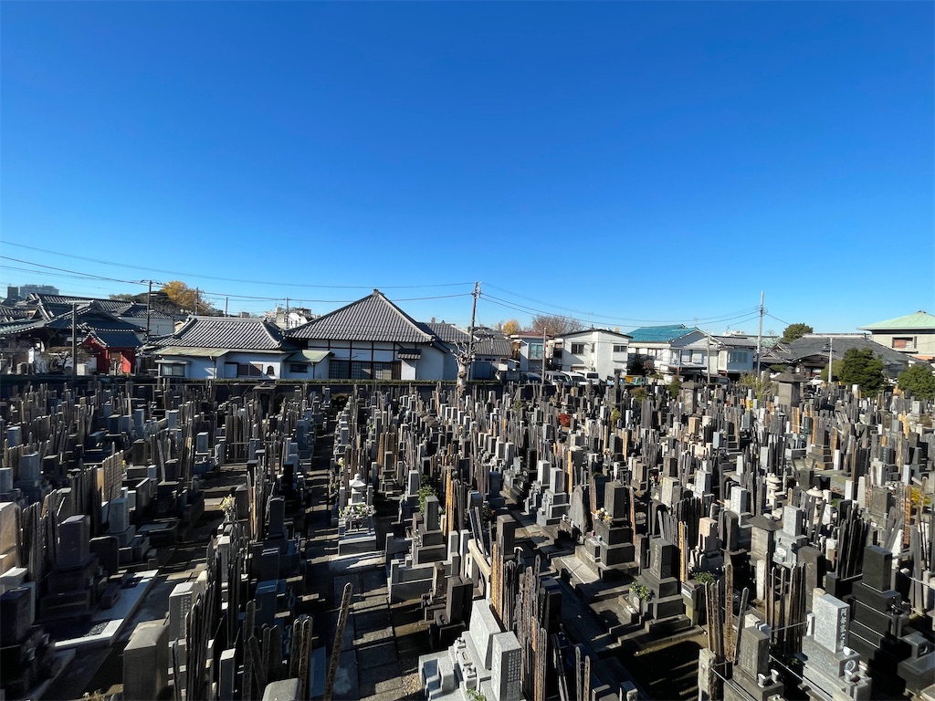 f:id:TokuheiKumagai:20241217221536j:image