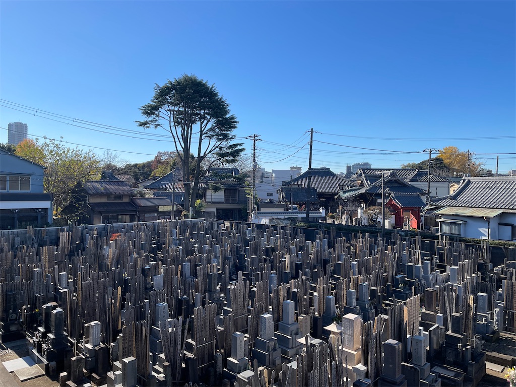 f:id:TokuheiKumagai:20241217221540j:image