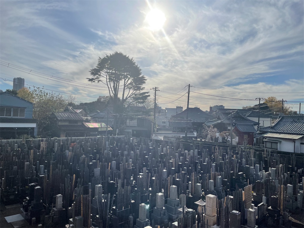 f:id:TokuheiKumagai:20241219003518j:image