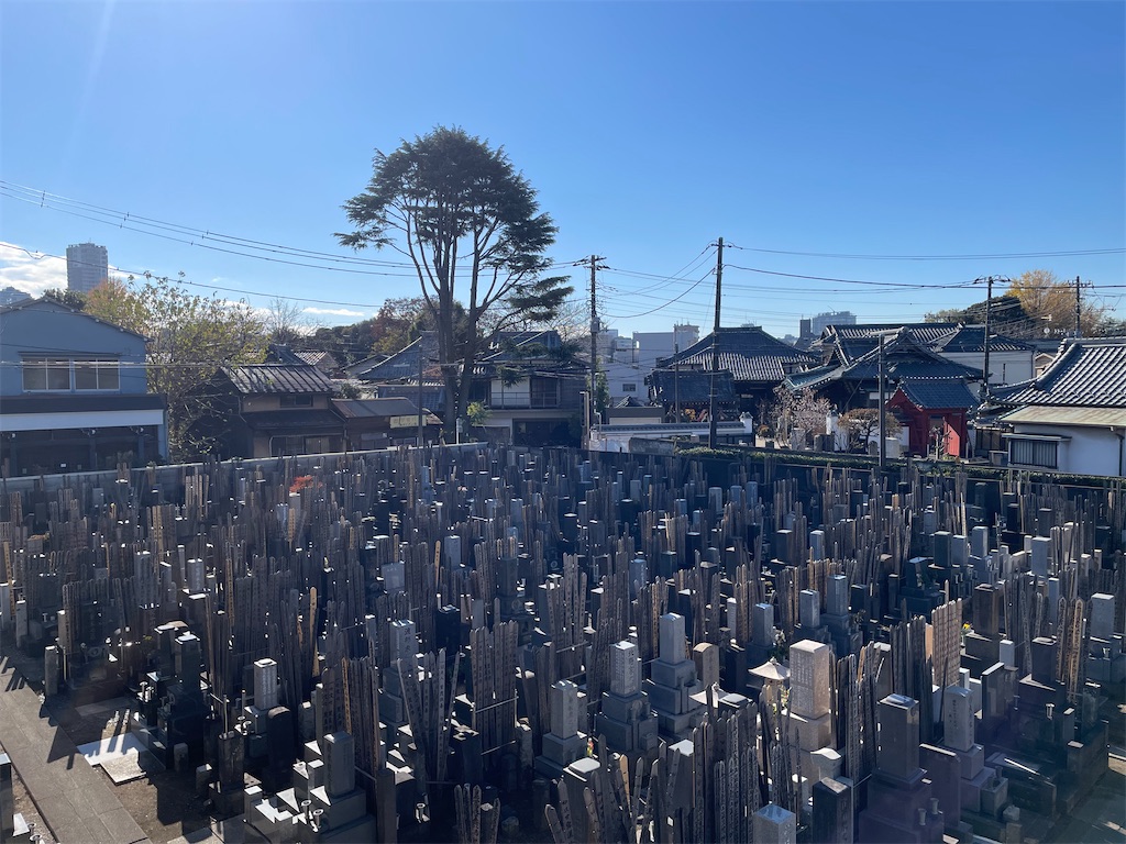 f:id:TokuheiKumagai:20241219122440j:image