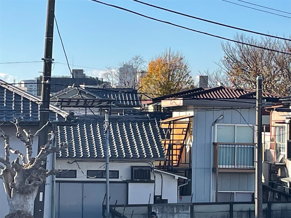 f:id:TokuheiKumagai:20241219123145j:image