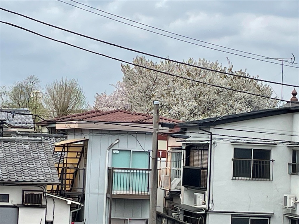 f:id:TokuheiKumagai:20241219123859j:image