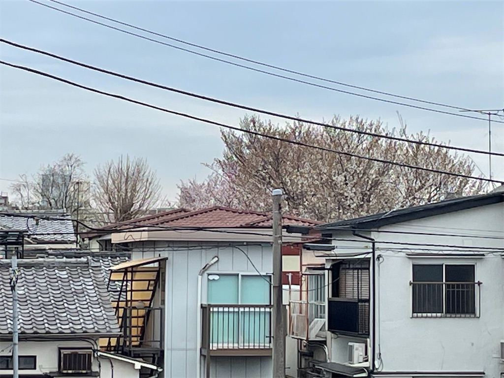 f:id:TokuheiKumagai:20241219123906j:image