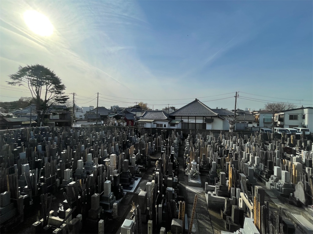 f:id:TokuheiKumagai:20241220142138j:image