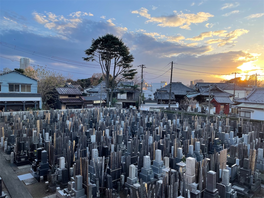 f:id:TokuheiKumagai:20241221170149j:image