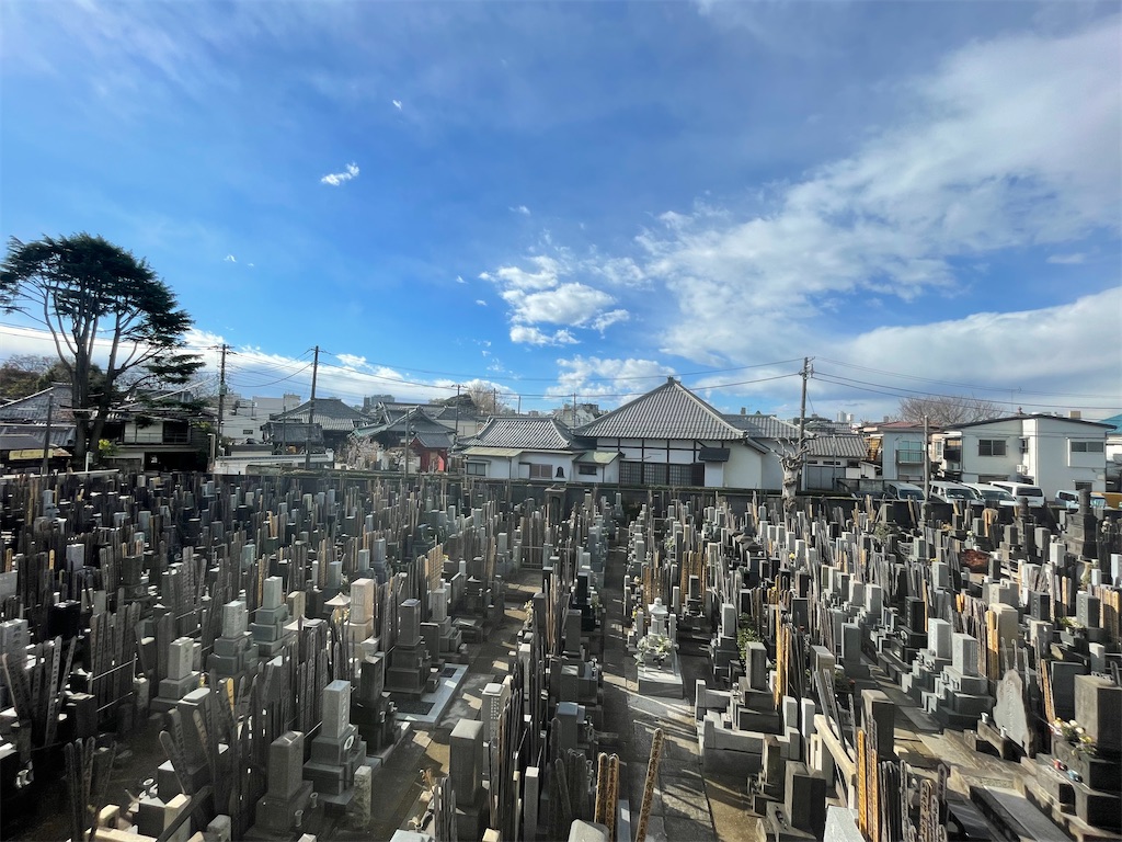 f:id:TokuheiKumagai:20241222141940j:image