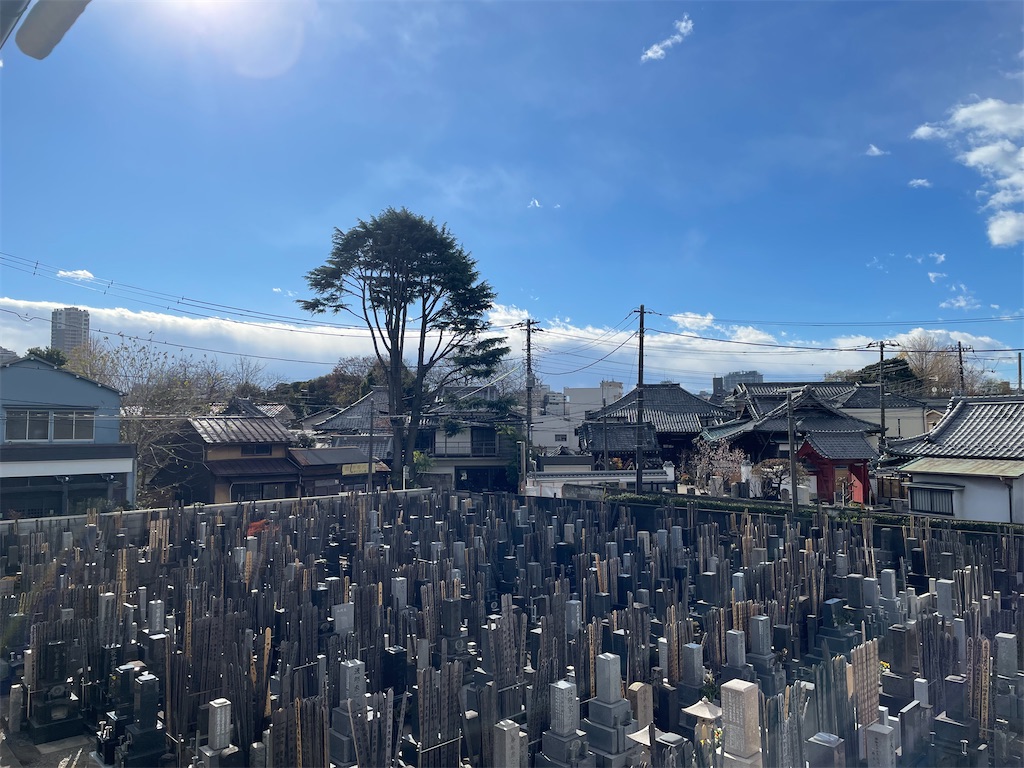 f:id:TokuheiKumagai:20241222141944j:image