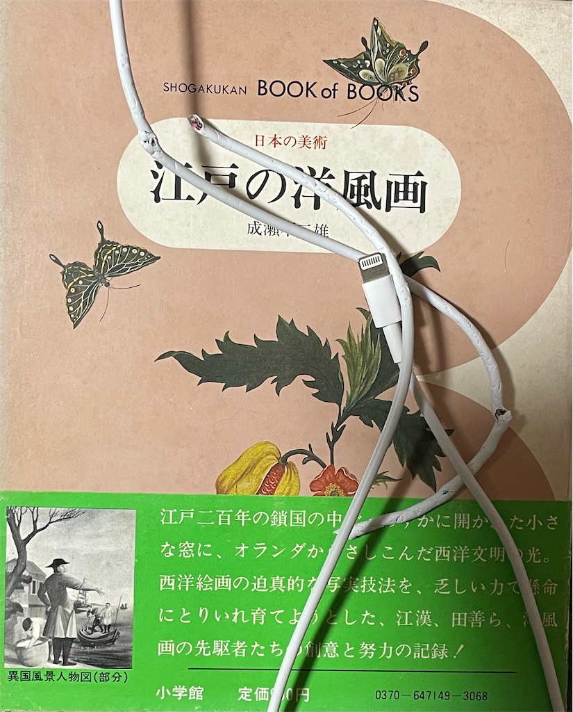 f:id:TokuheiKumagai:20241225115520j:image