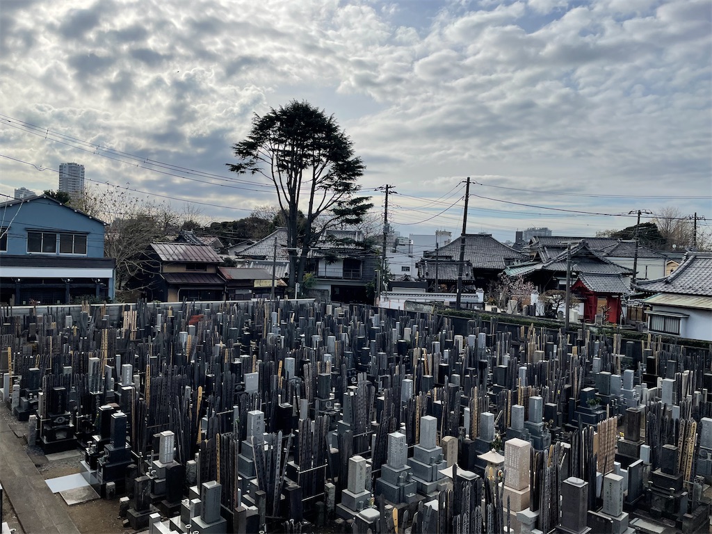 f:id:TokuheiKumagai:20241225115556j:image