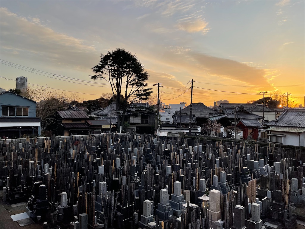 f:id:TokuheiKumagai:20241226164419j:image