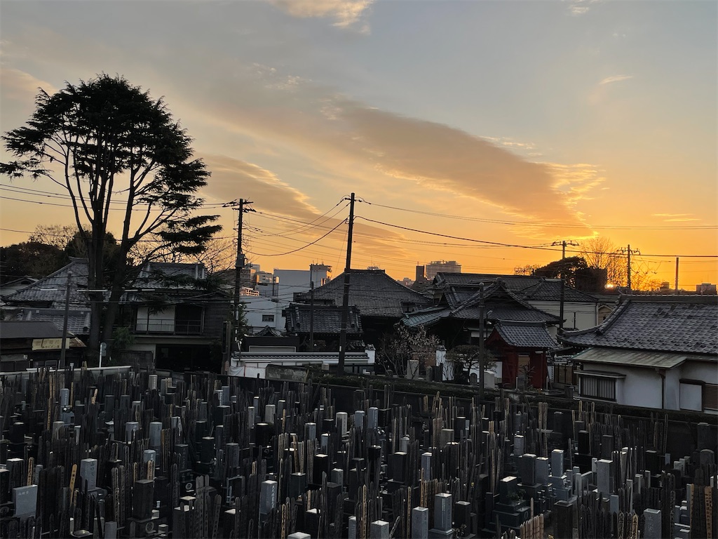 f:id:TokuheiKumagai:20241226164426j:image