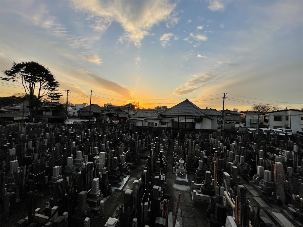 f:id:TokuheiKumagai:20241226164429j:image
