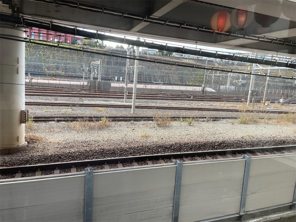 f:id:TokuheiKumagai:20241228182015j:image