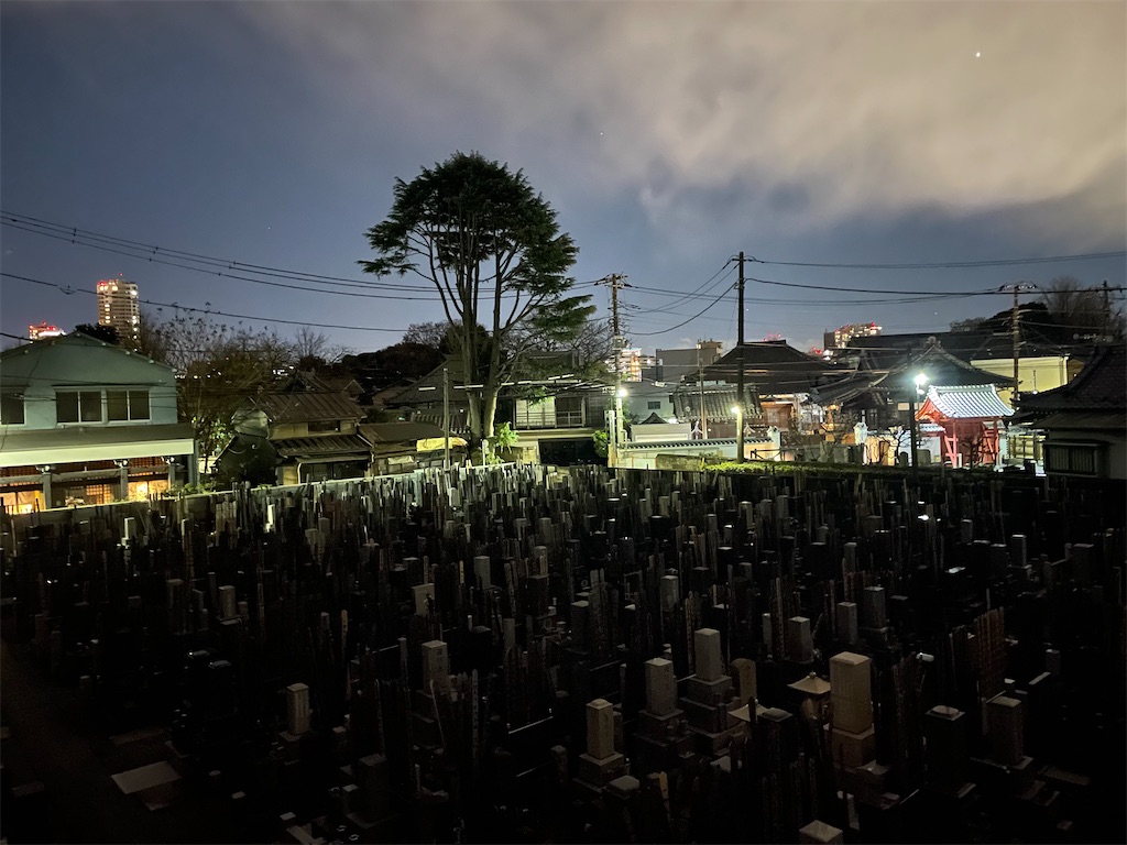 f:id:TokuheiKumagai:20241228185414j:image