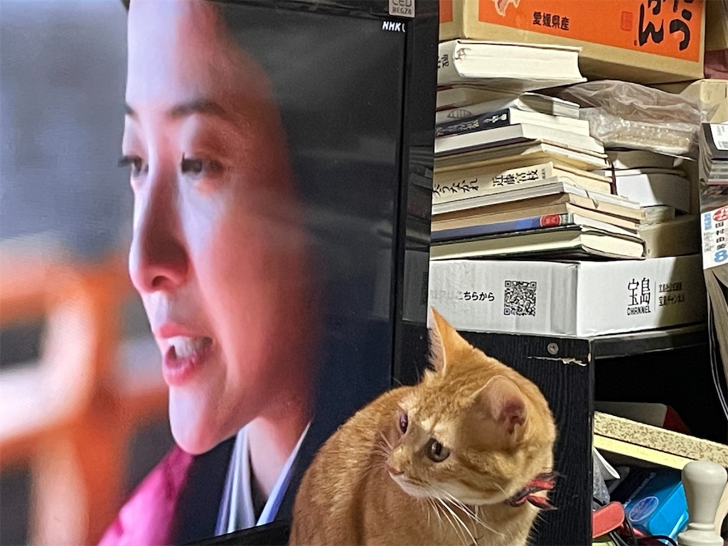 f:id:TokuheiKumagai:20241229211337j:image