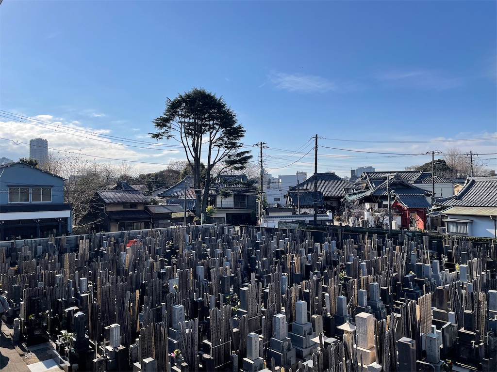 f:id:TokuheiKumagai:20250105155728j:image