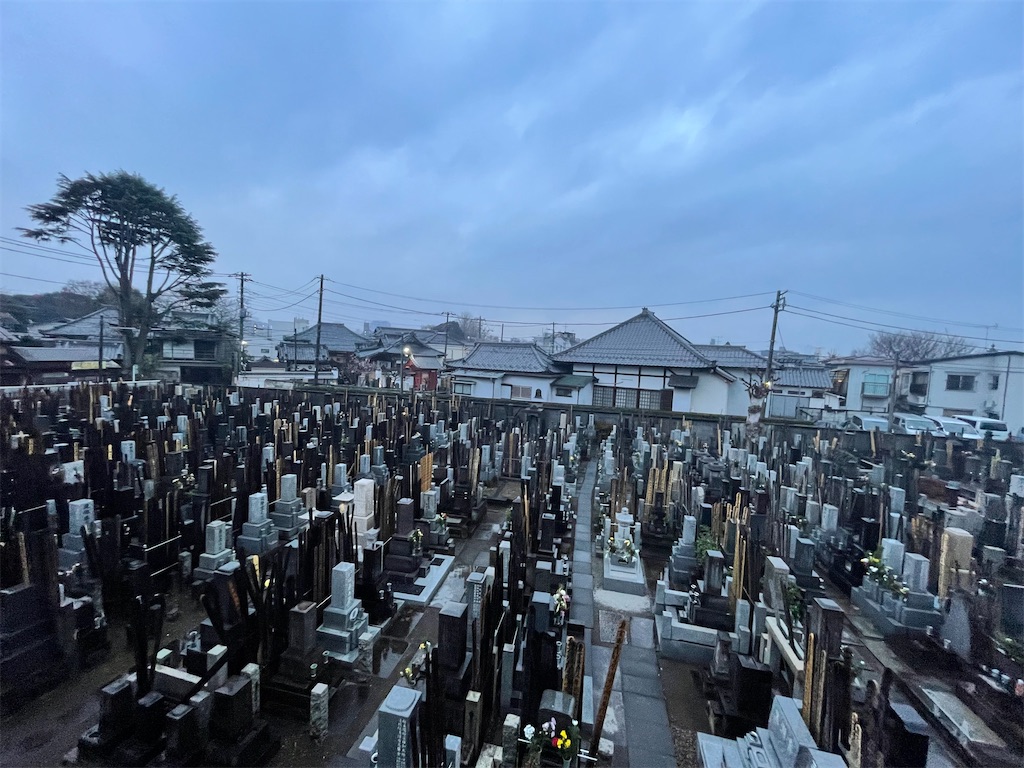 f:id:TokuheiKumagai:20250106163609j:image