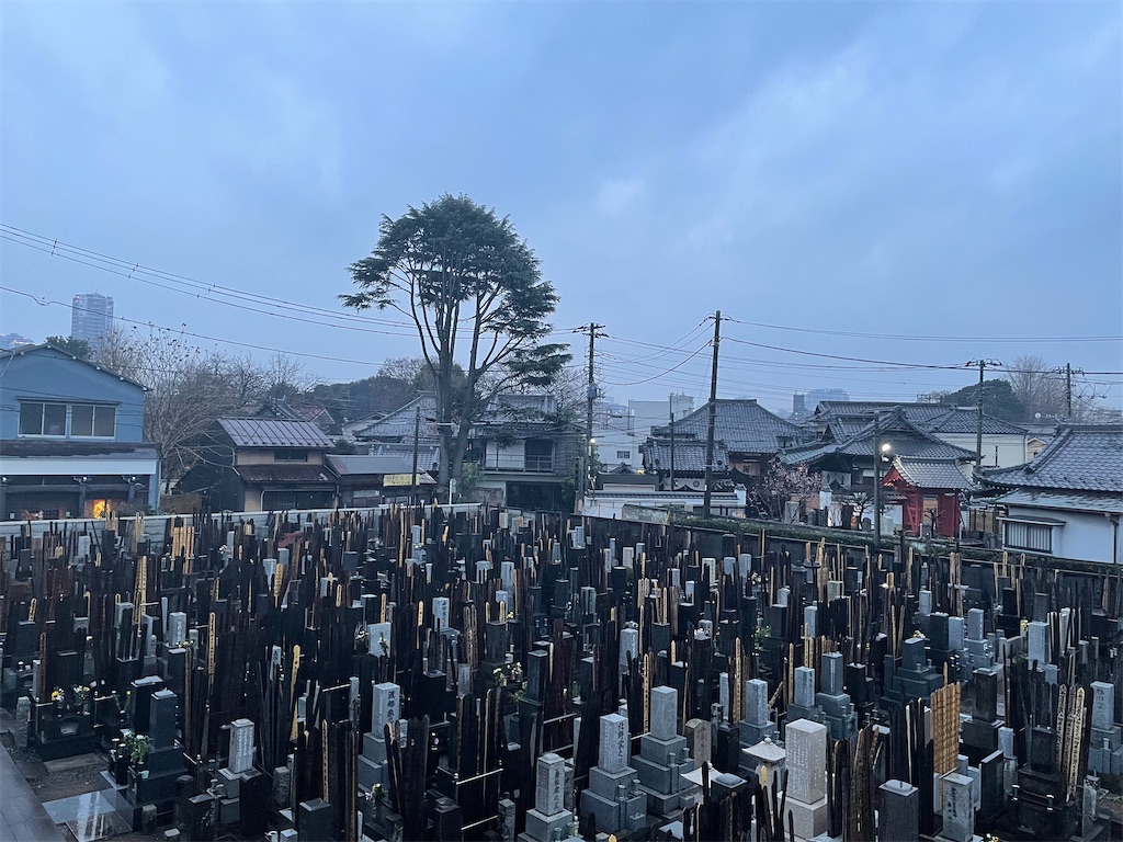 f:id:TokuheiKumagai:20250106163614j:image
