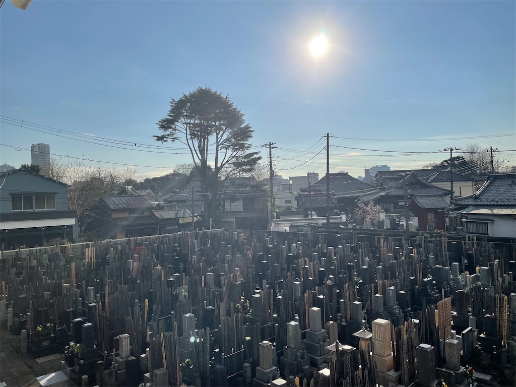 f:id:TokuheiKumagai:20250107203545j:image