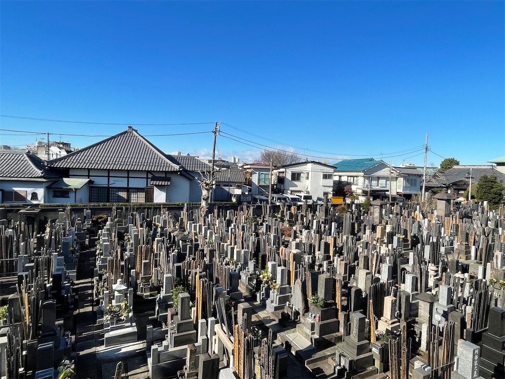 f:id:TokuheiKumagai:20250108212756j:image