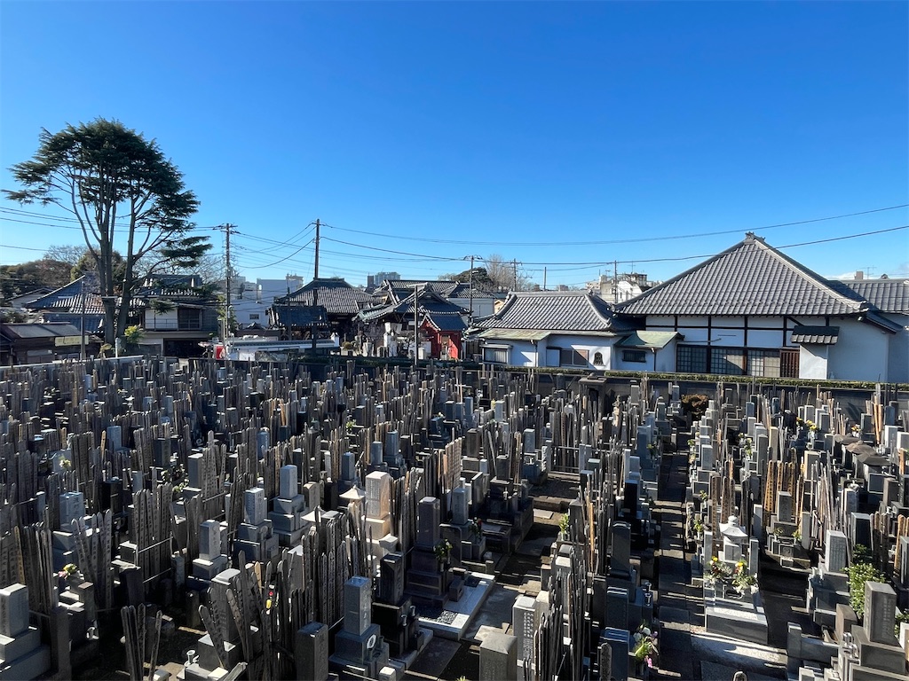 f:id:TokuheiKumagai:20250108212801j:image
