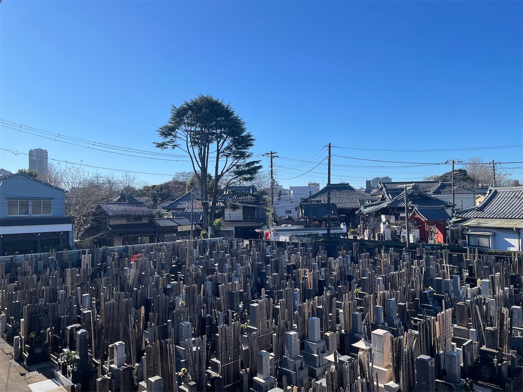 f:id:TokuheiKumagai:20250108212821j:image