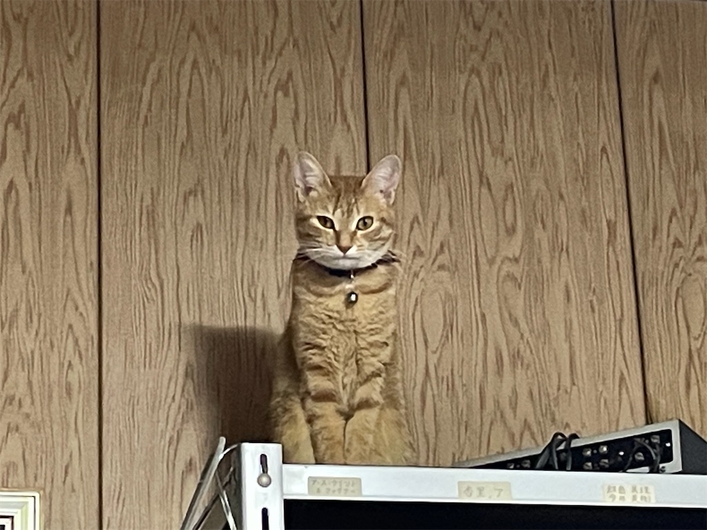 f:id:TokuheiKumagai:20250113162930j:image