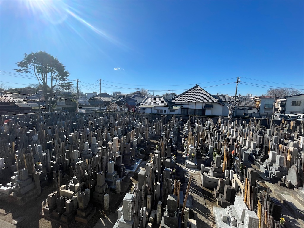 f:id:TokuheiKumagai:20250126125819j:image f:id:TokuheiKumagai:20250126125819j:image